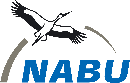 Nabu Logo